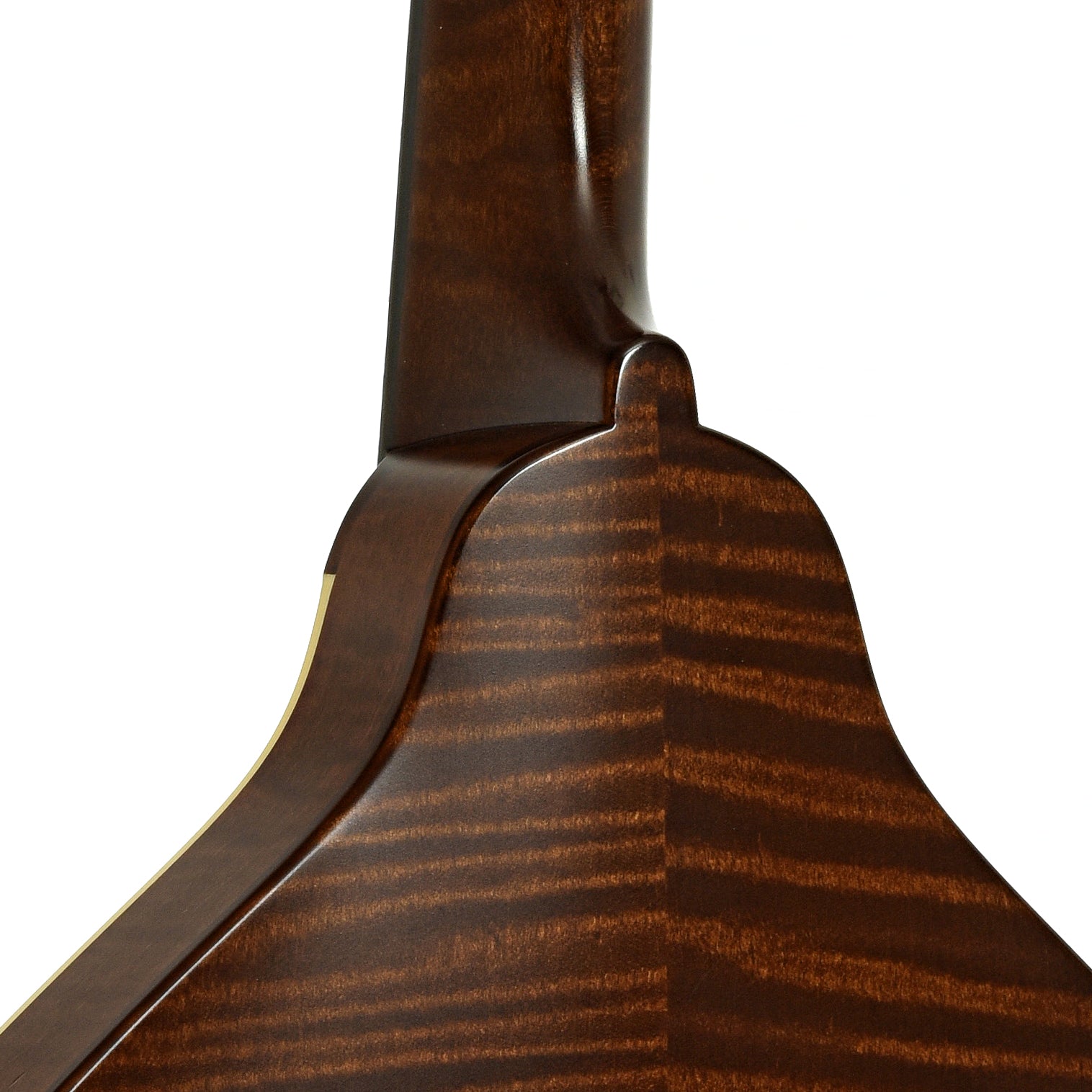 Neck joint of Pava A5 Satin Oval Hole Mandolin