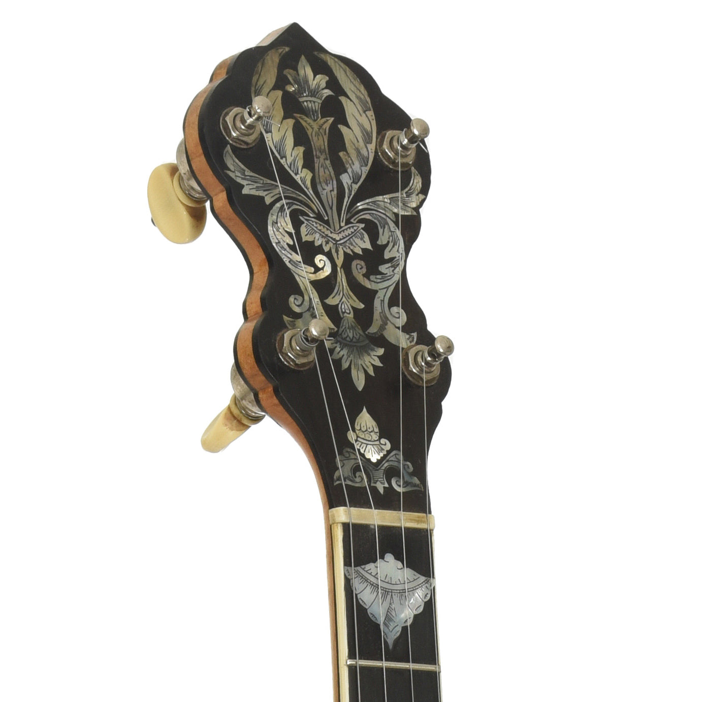Headstock of Vega Vegaphone Professional Conversion Openback Banjo