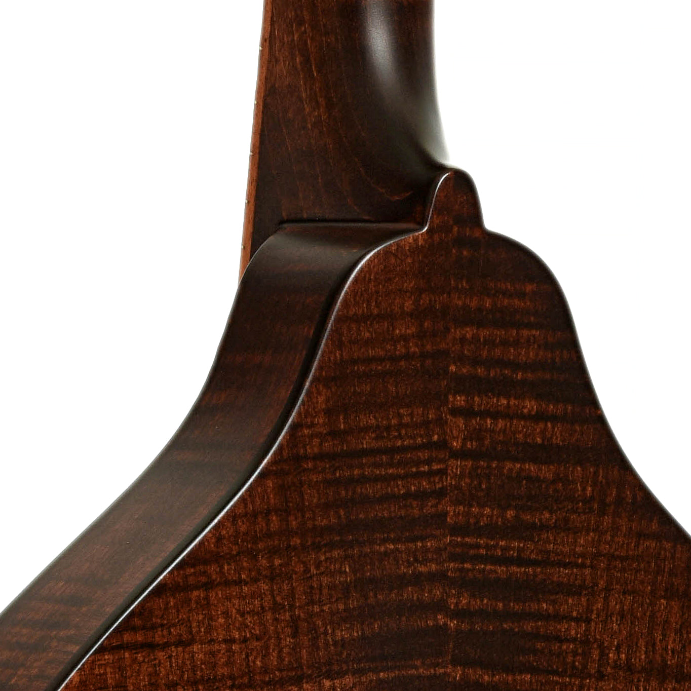 Neck joint of Kentucky KM-226 Oval Hole A-Model Mandolin