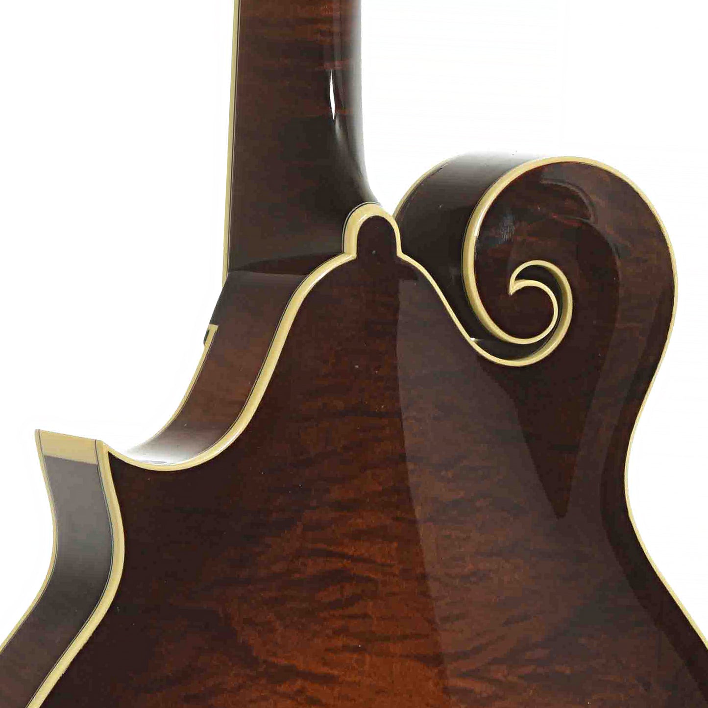 Collings MF5 Mandolin (2016)