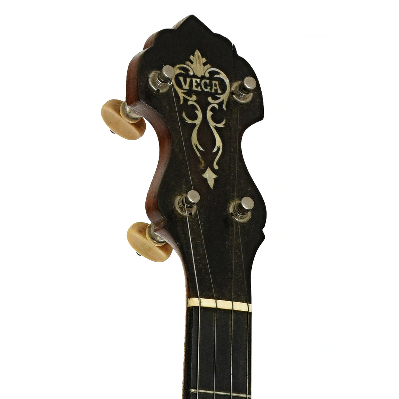 Headstock of Vega Vegaphone Professional Plectrum Banjo