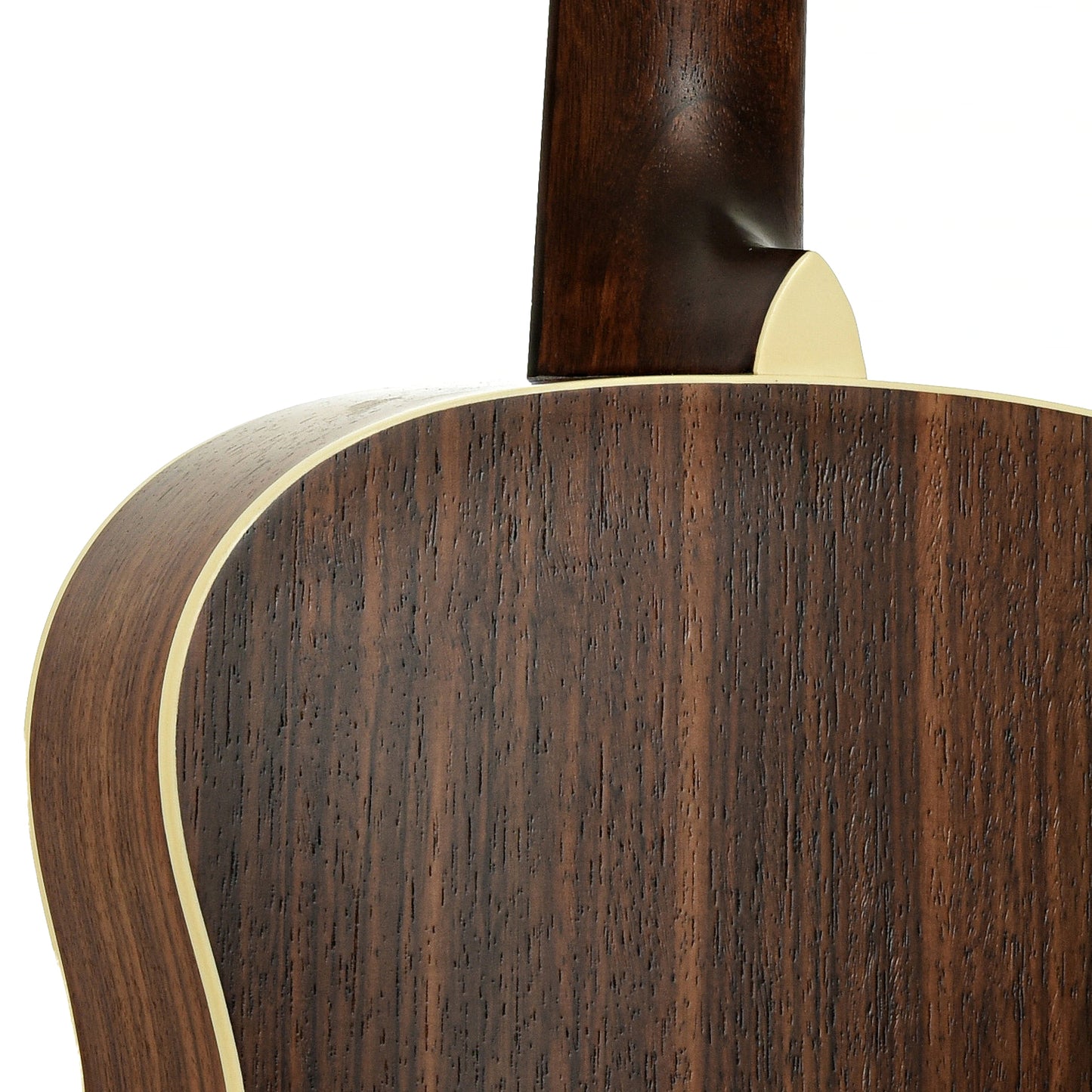 Neck joint of Eastman PCH2-TG Acoustic Guitar