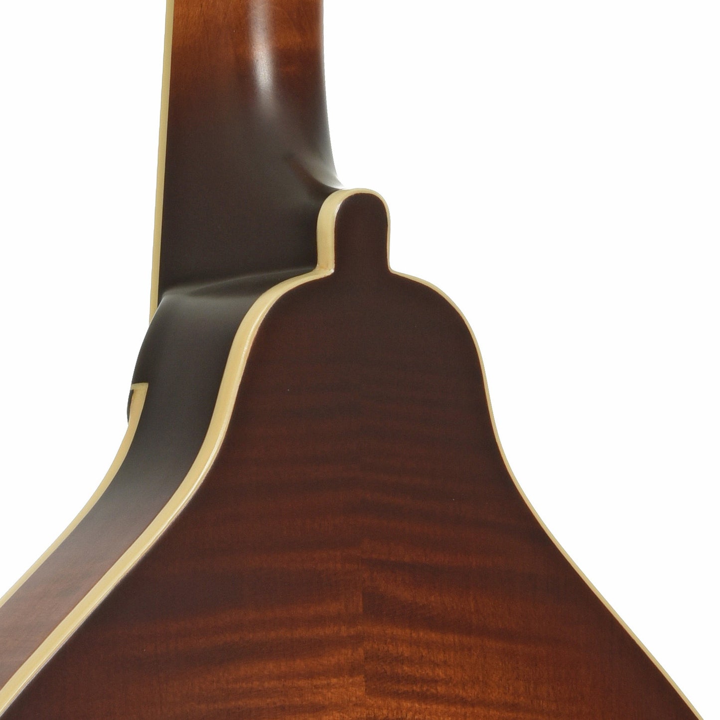 Gold Tone GM-55 A-Style Mandolin & Case