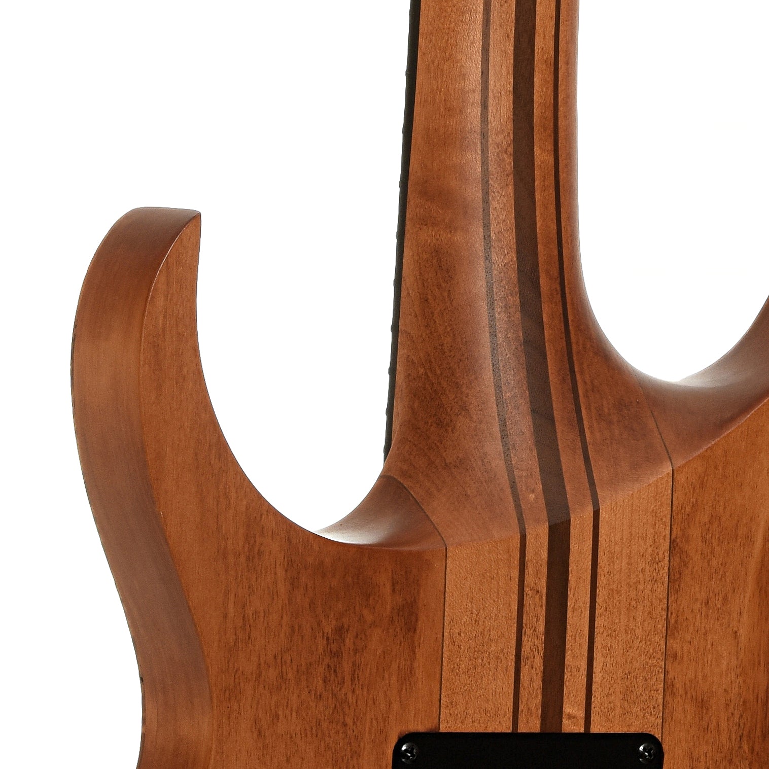 Neck joint of Ibanez RGT1220PB Electric Guitar 