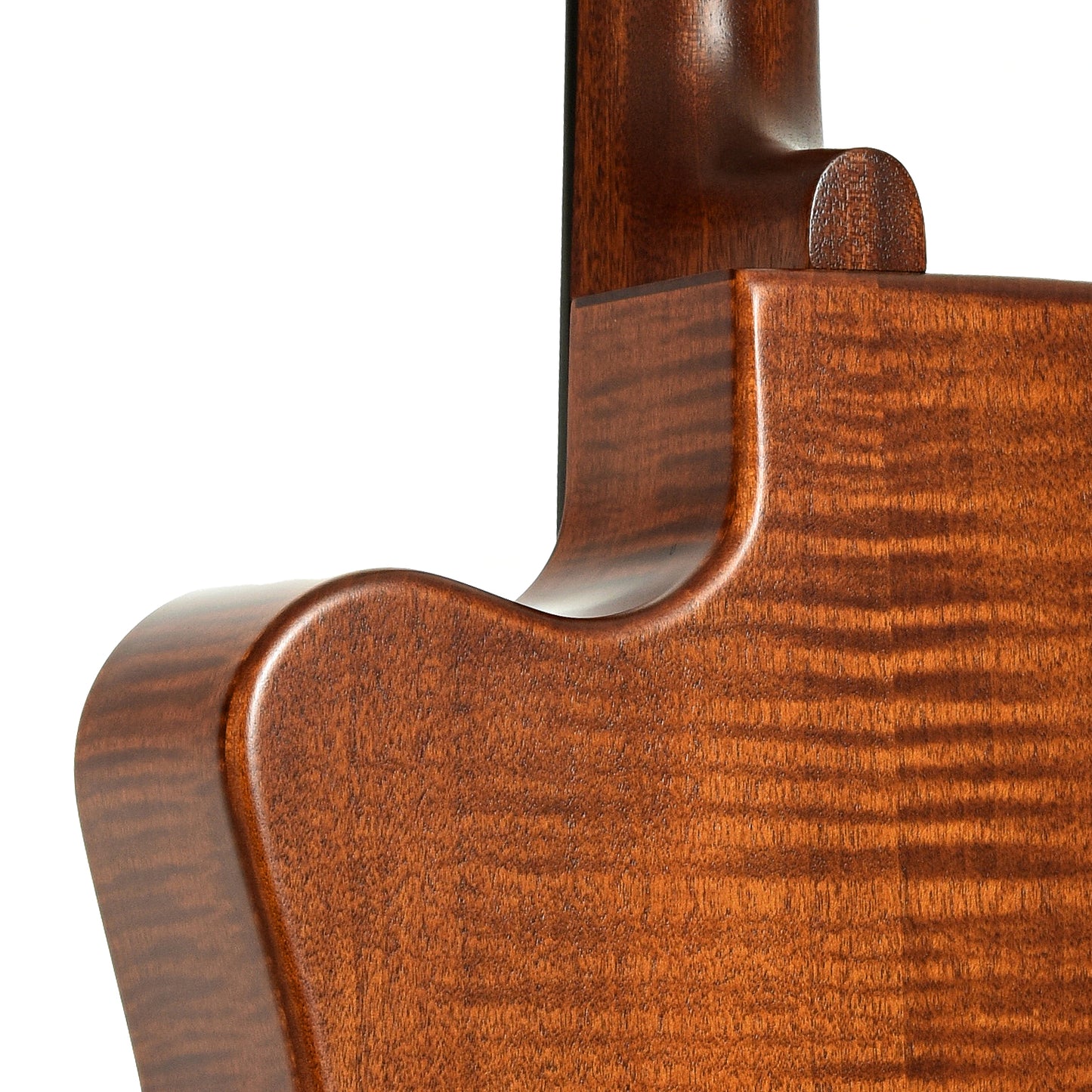 Neck joint of Beard Trailhead Roundneck Resonator Guitar Tobacco Finish