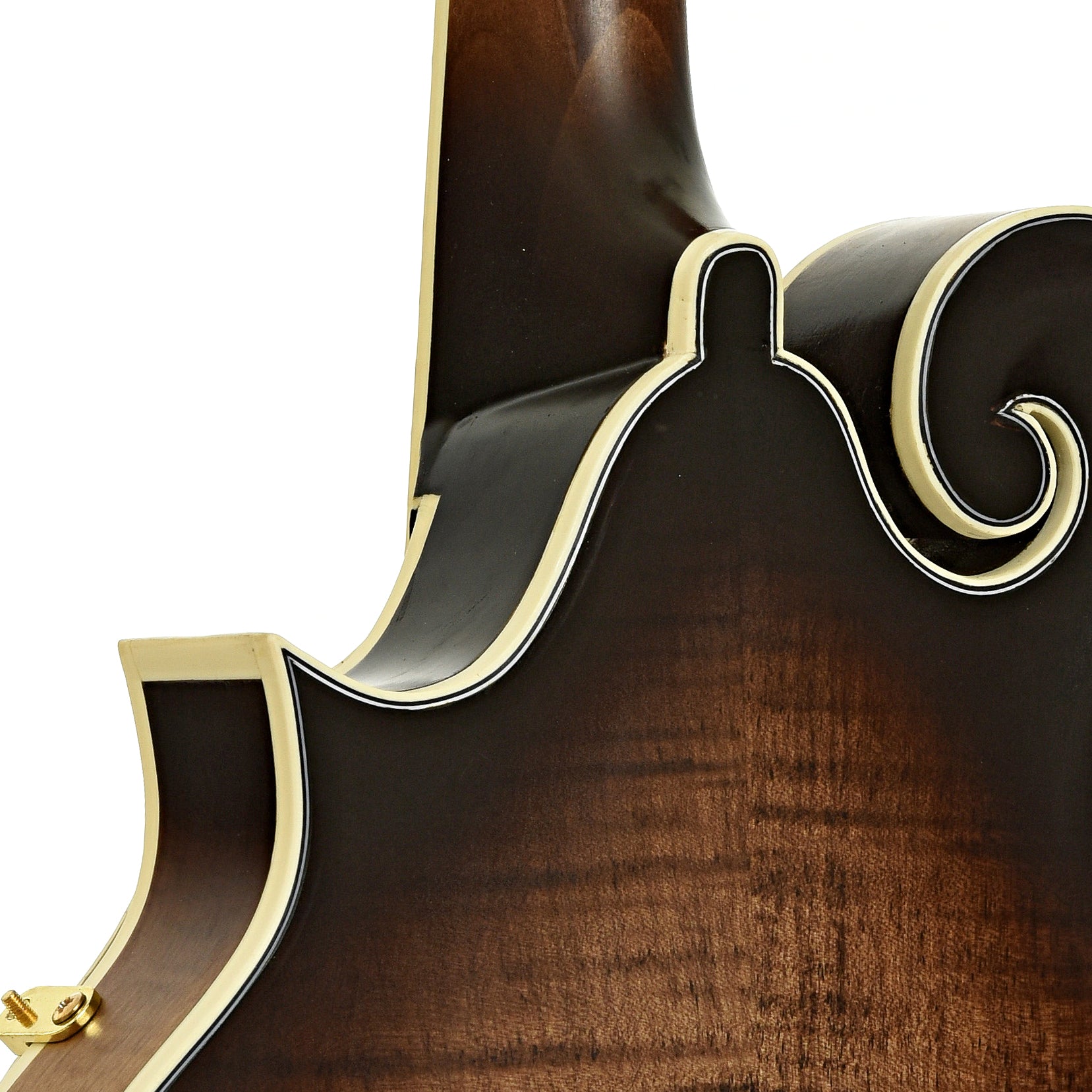 Neck joint of Ortega RMFE100AVO Acoustic-Electric F-Model Mandolin