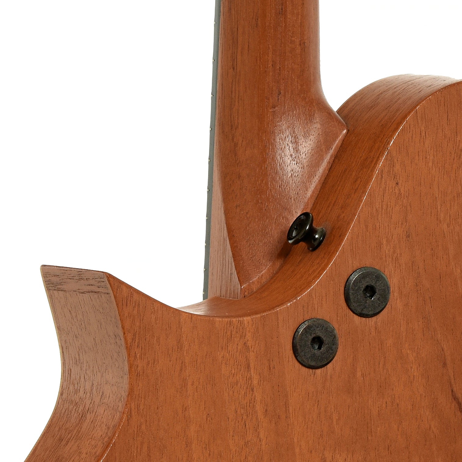 Neck joint of Tacoma M-1 Mandolin