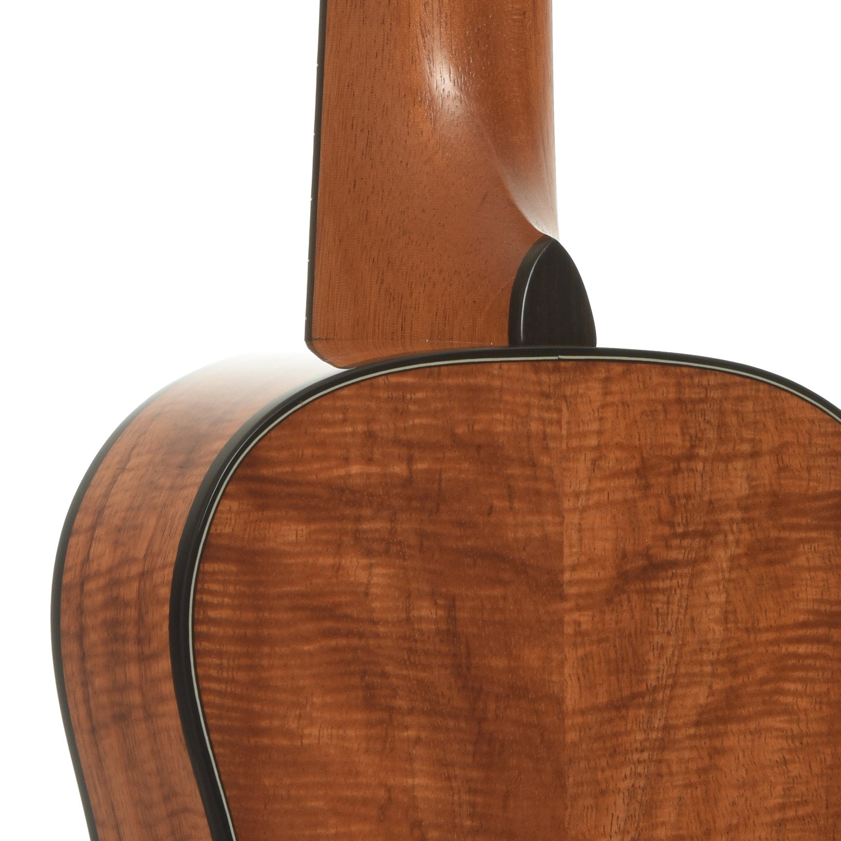 Neck joint of Kala Elite 3KOA-CG Concert Ukulele