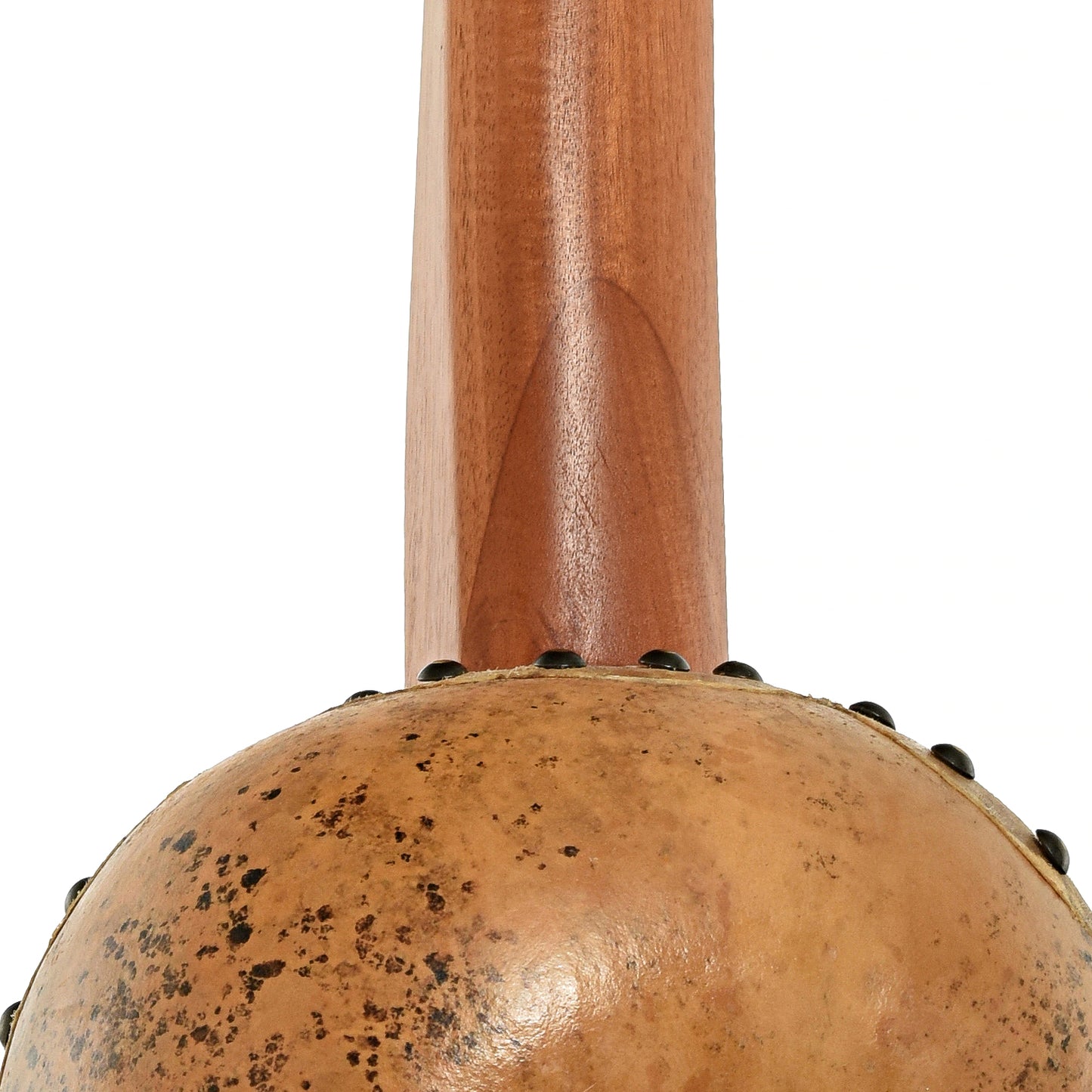 Menzies Fretless Gourd Banjo #601