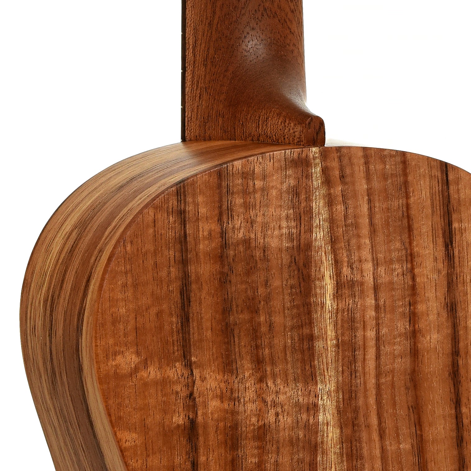 Neck joint of Martin T-1K Tenor Ukulele 