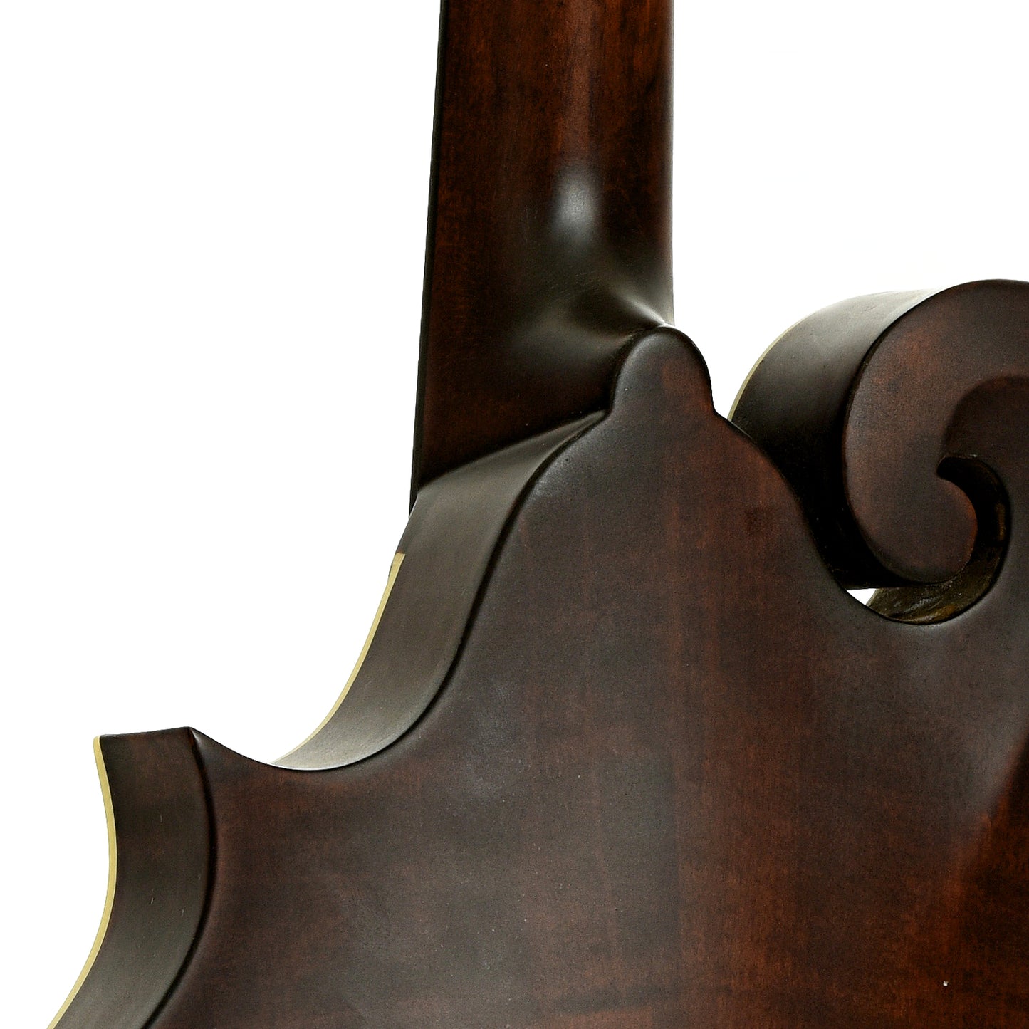 Neck joint of Eastman MDA315 Mandola