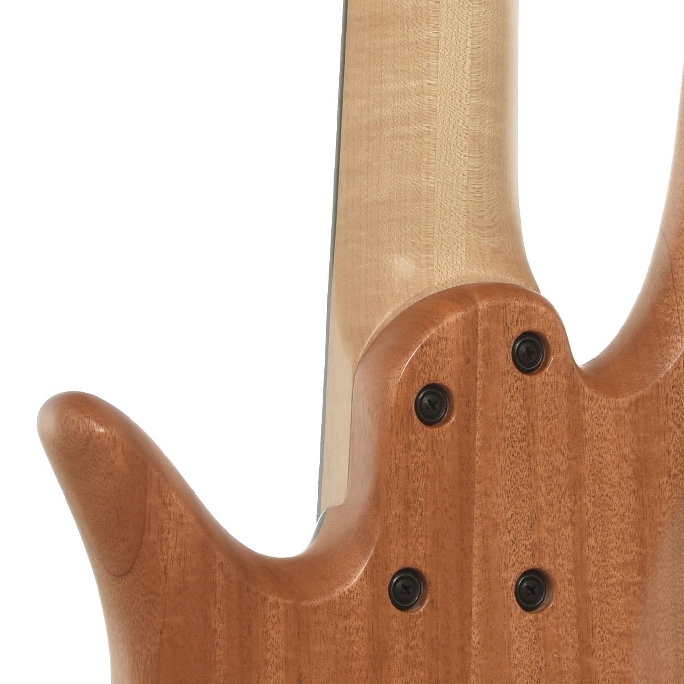Neck joint of Fodera Yin Yang Standard Blister Maple 5-String Electric Bass