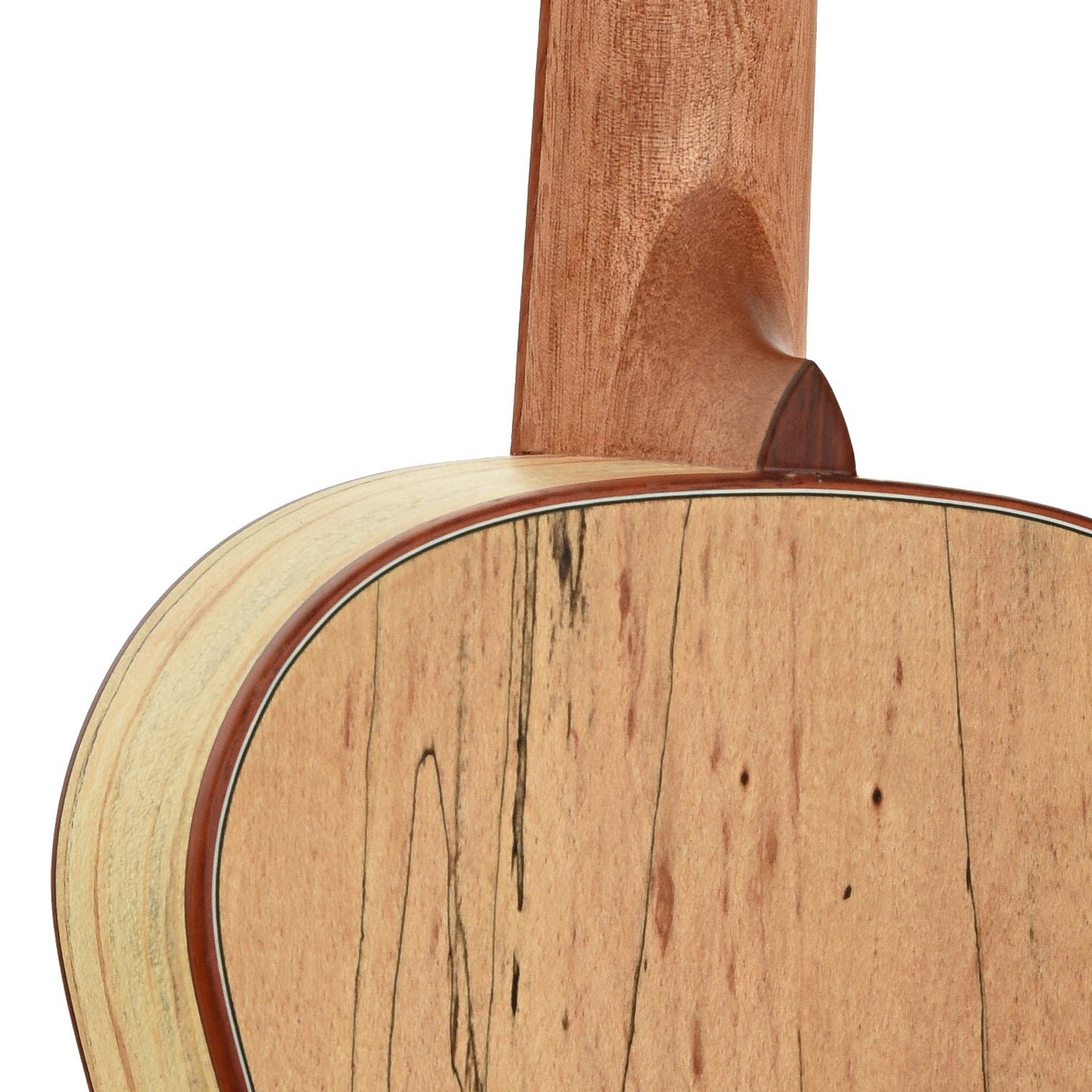 Neck joint of Cordoba 24B Baritone Ukulele