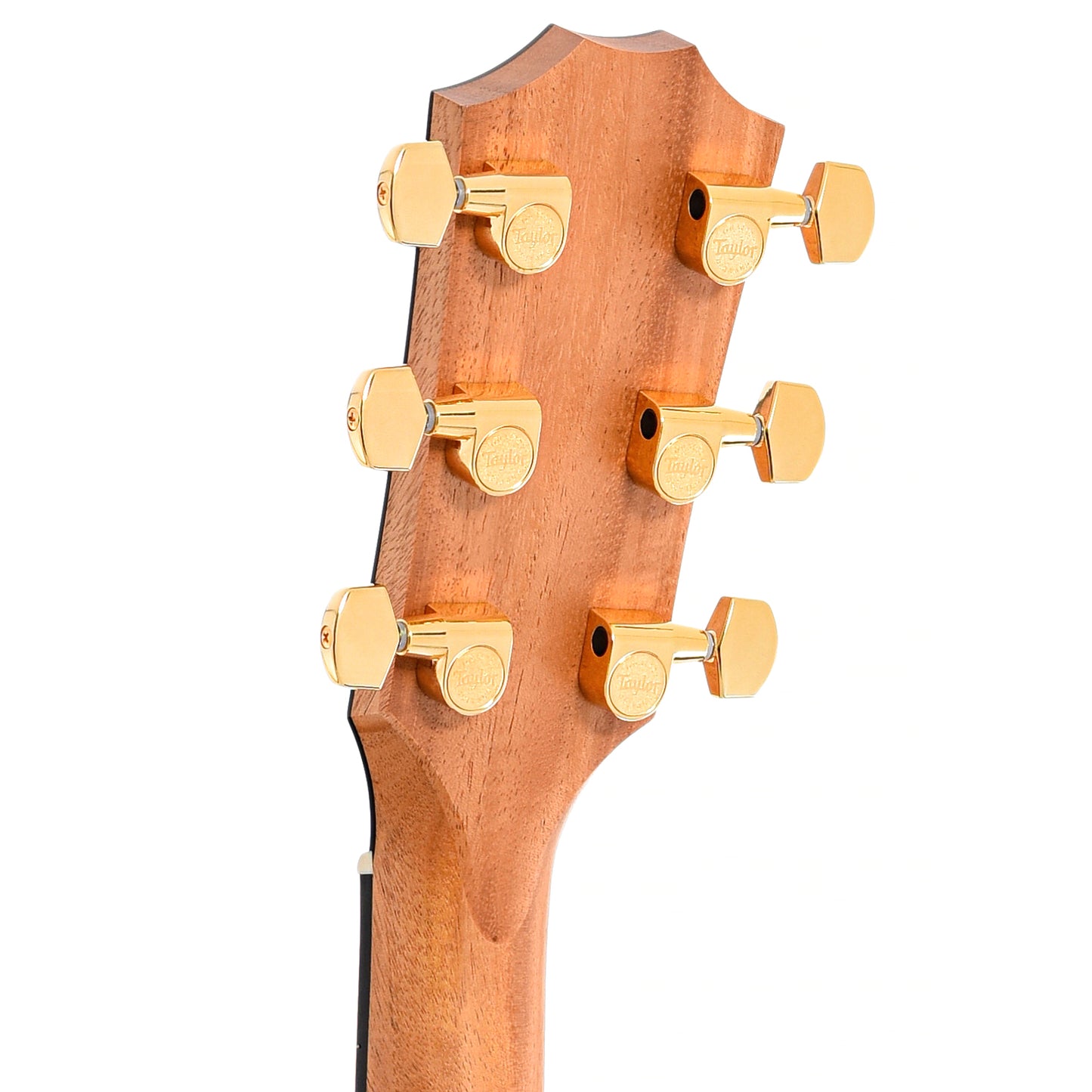 Back headstock of Taylor 224ce-K Deluxe Acoustic 