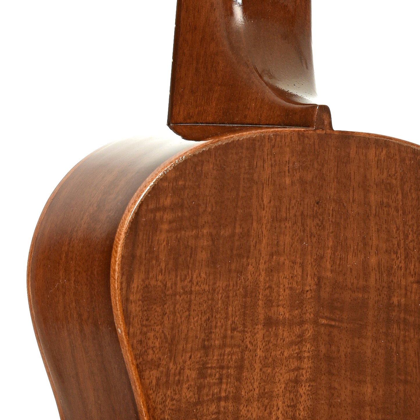 Neck joint of Farida Holiday Pack, Concert Ukulele