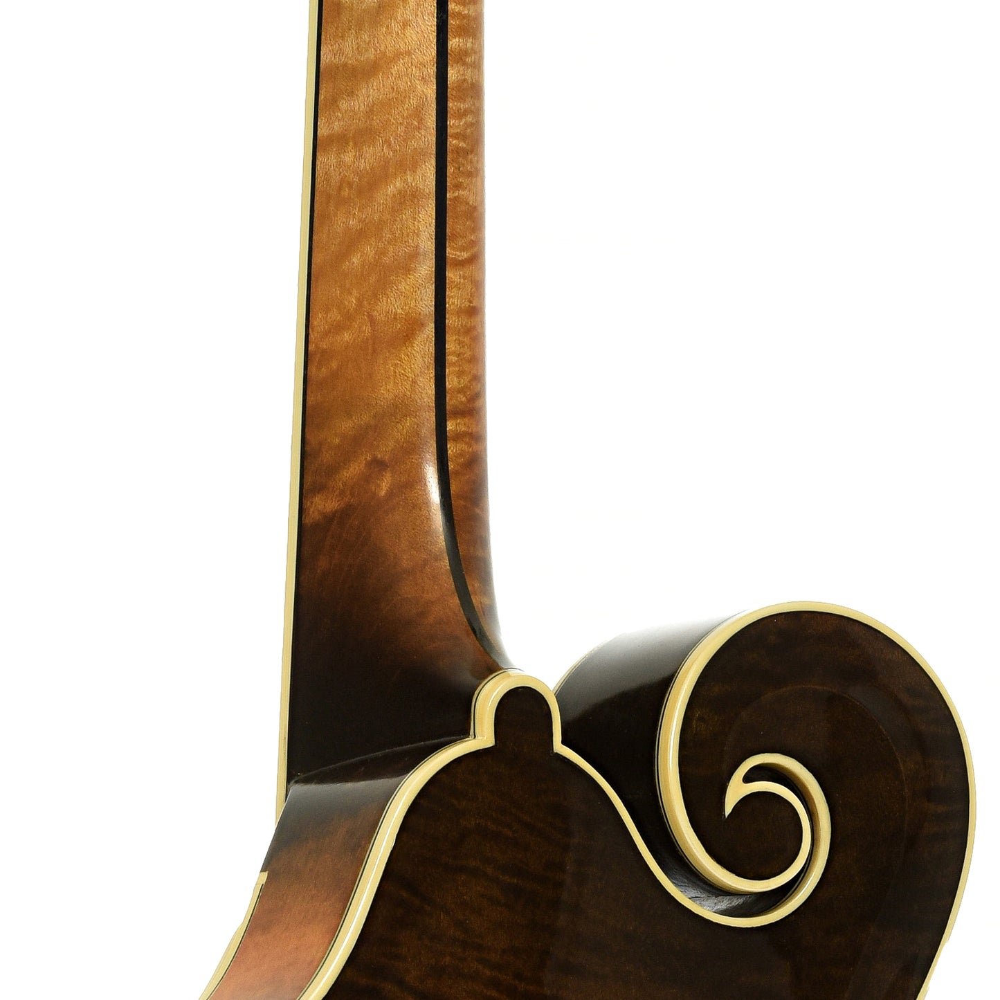 Neck joint of Gilchrist Model 5 Mandolin