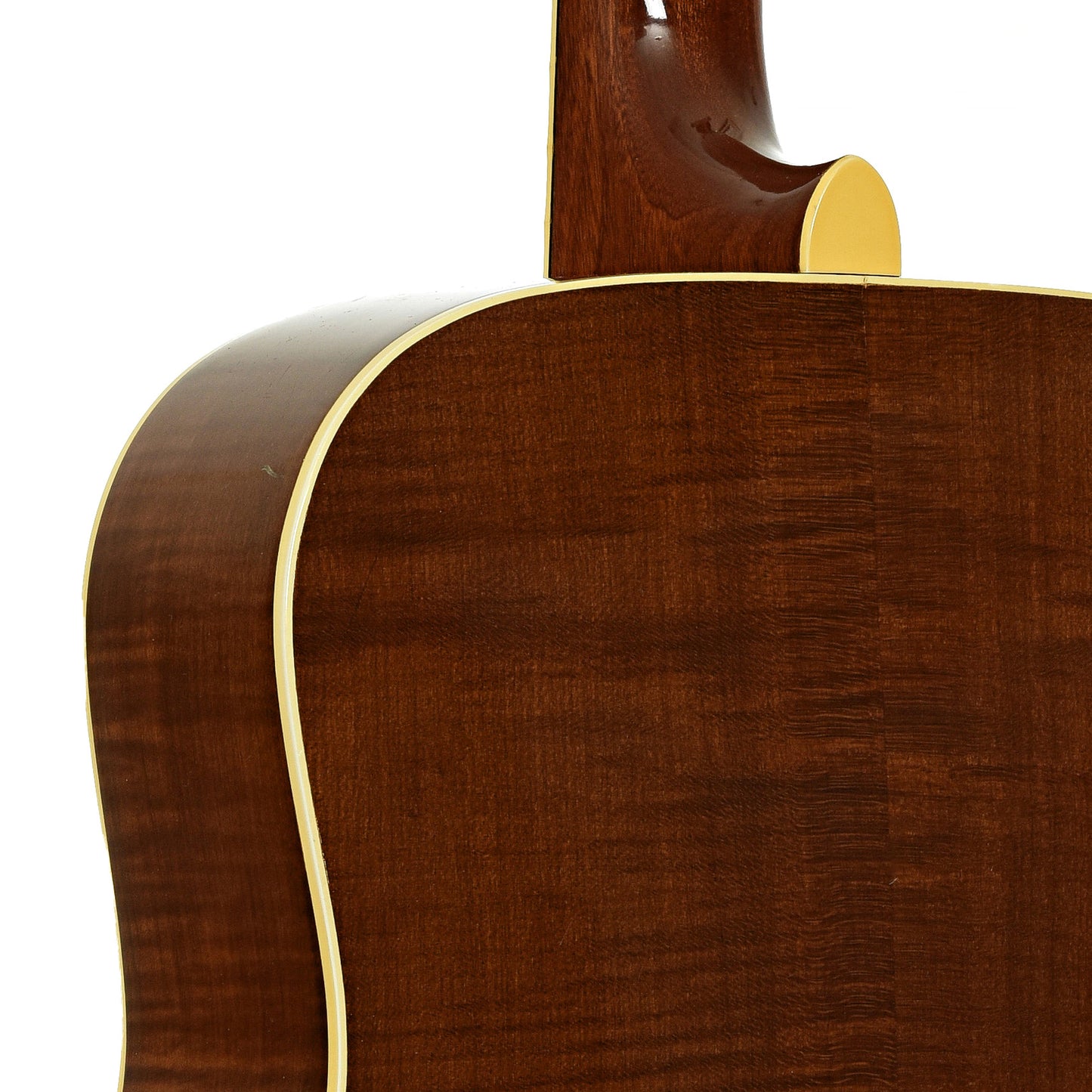 Neck joint of Levin LT-18 Goliath Acoustic Guitar