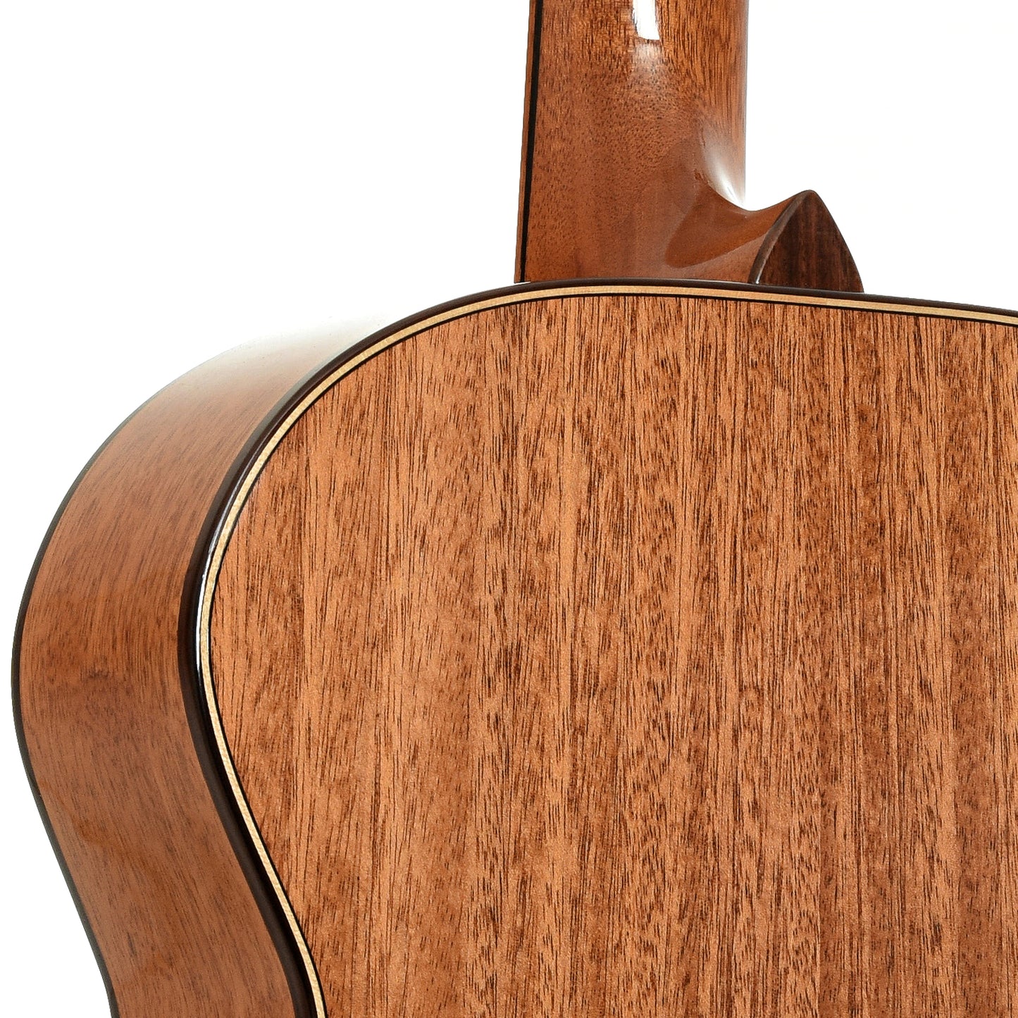 Neck joint of Kronbauer TDK Jumbo Acoustic Guitar 