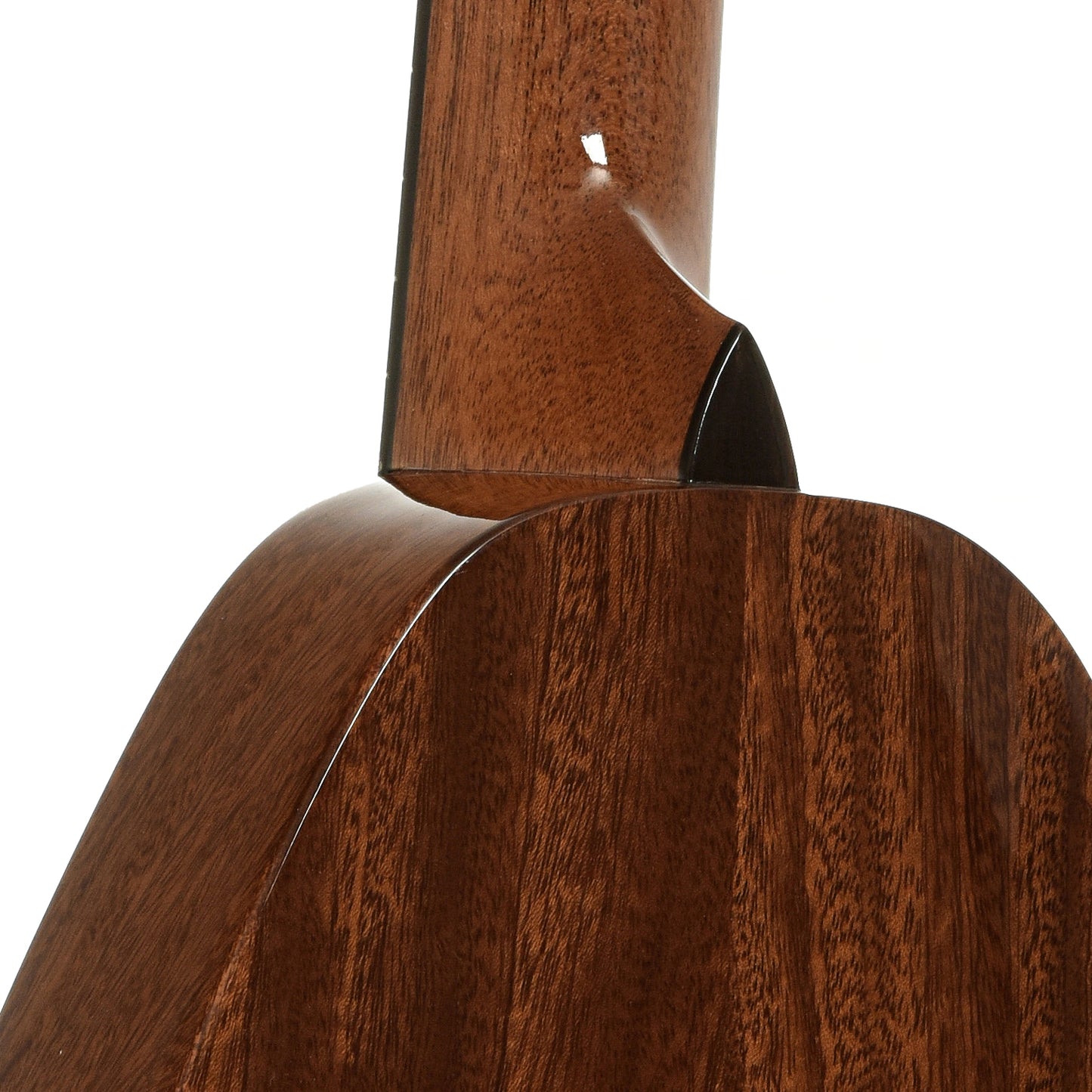 Neck joint of Romero Tiny Tenor Ukulele 