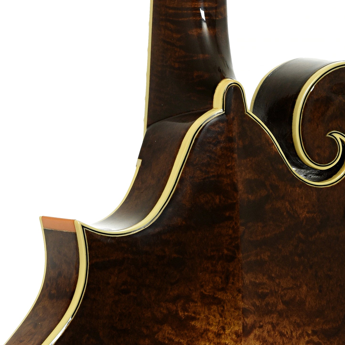 Neck joint of Stiver Model F Mandolin