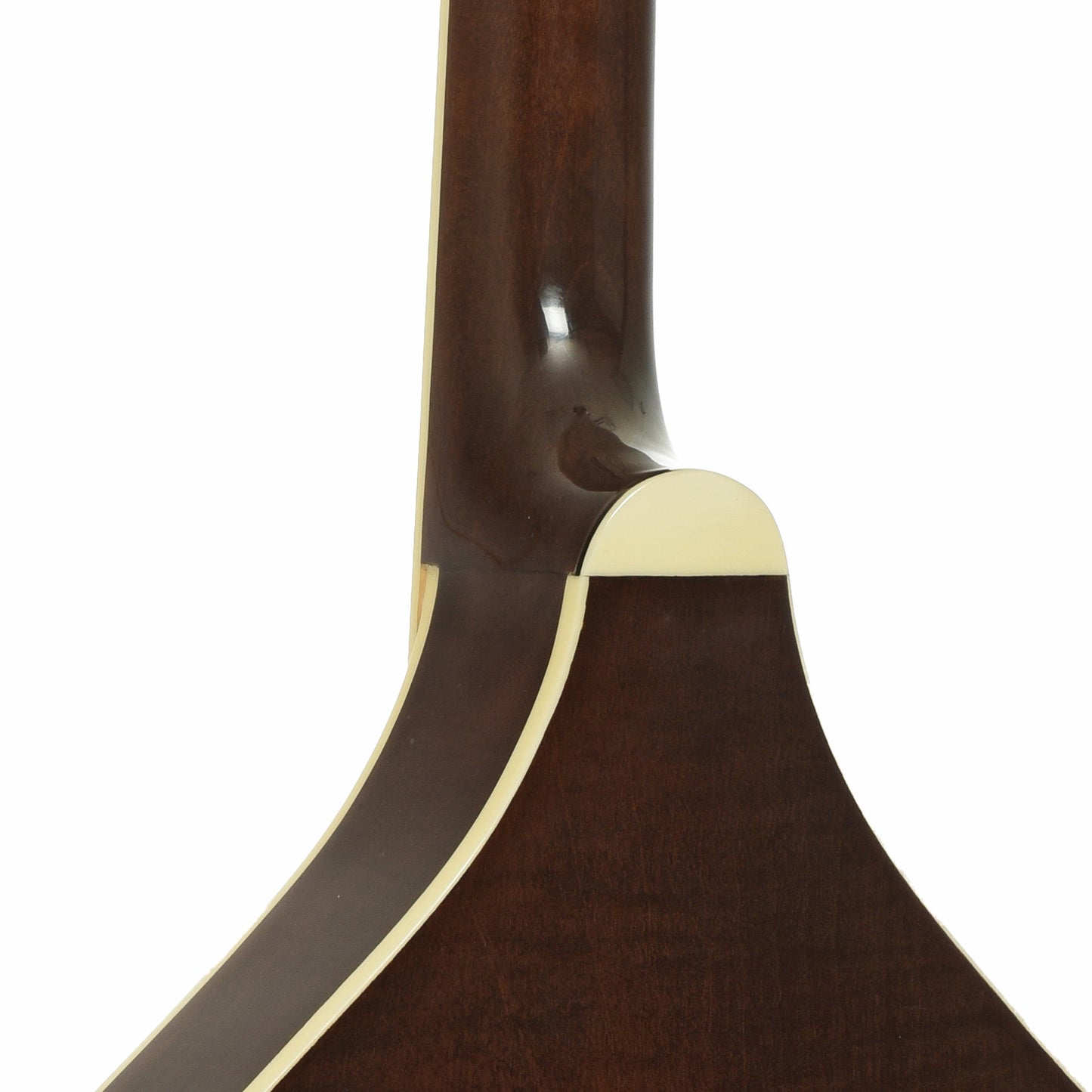 Neck joint of Gold Tone Banjola+ S