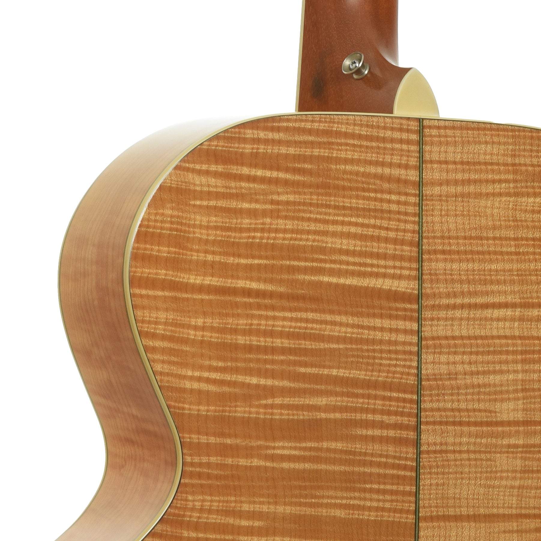 Neck joint of Taylor 615 Acoustic Guitar 