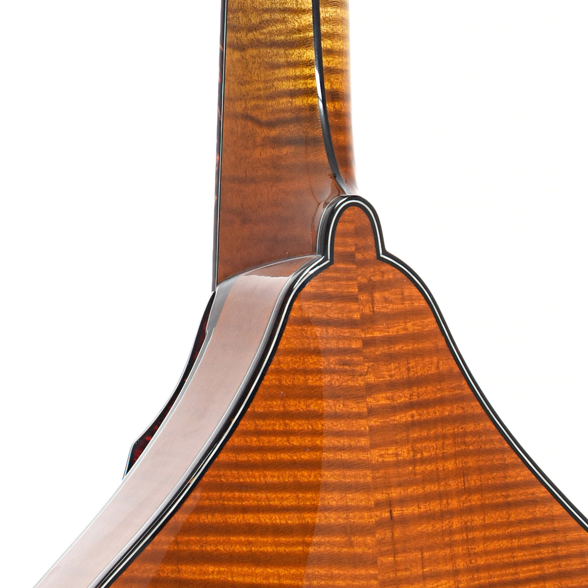 Heel of Northfield Workshop NFMSP-A4 A4 Special Mandolin