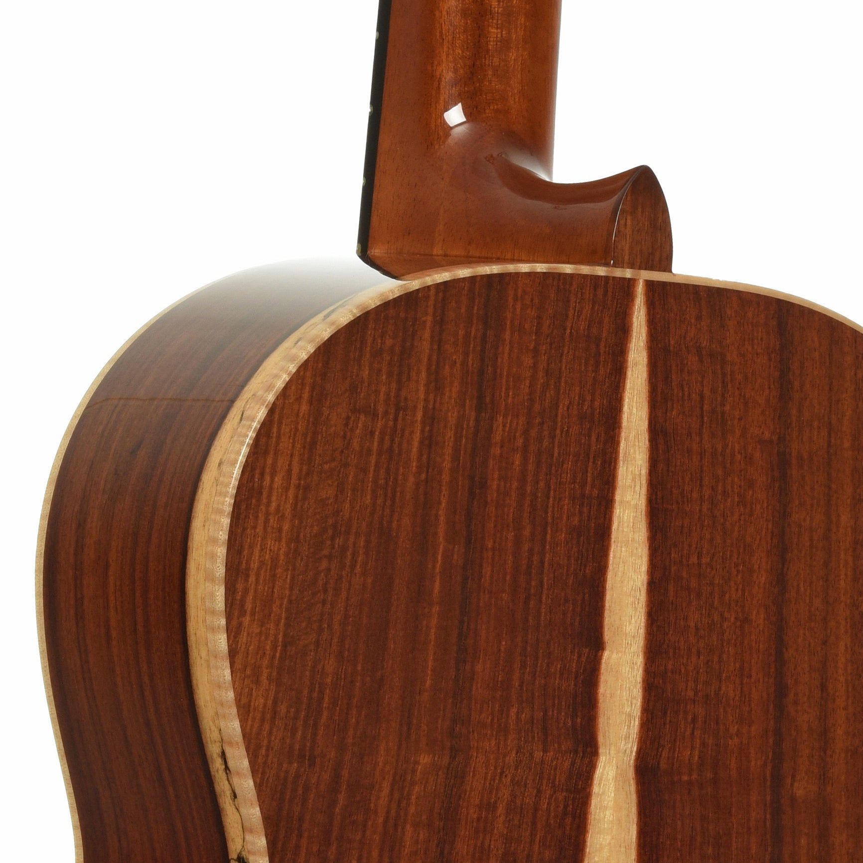 Back and side of Cordoba Esteso SP Classical Acoustic Guitar