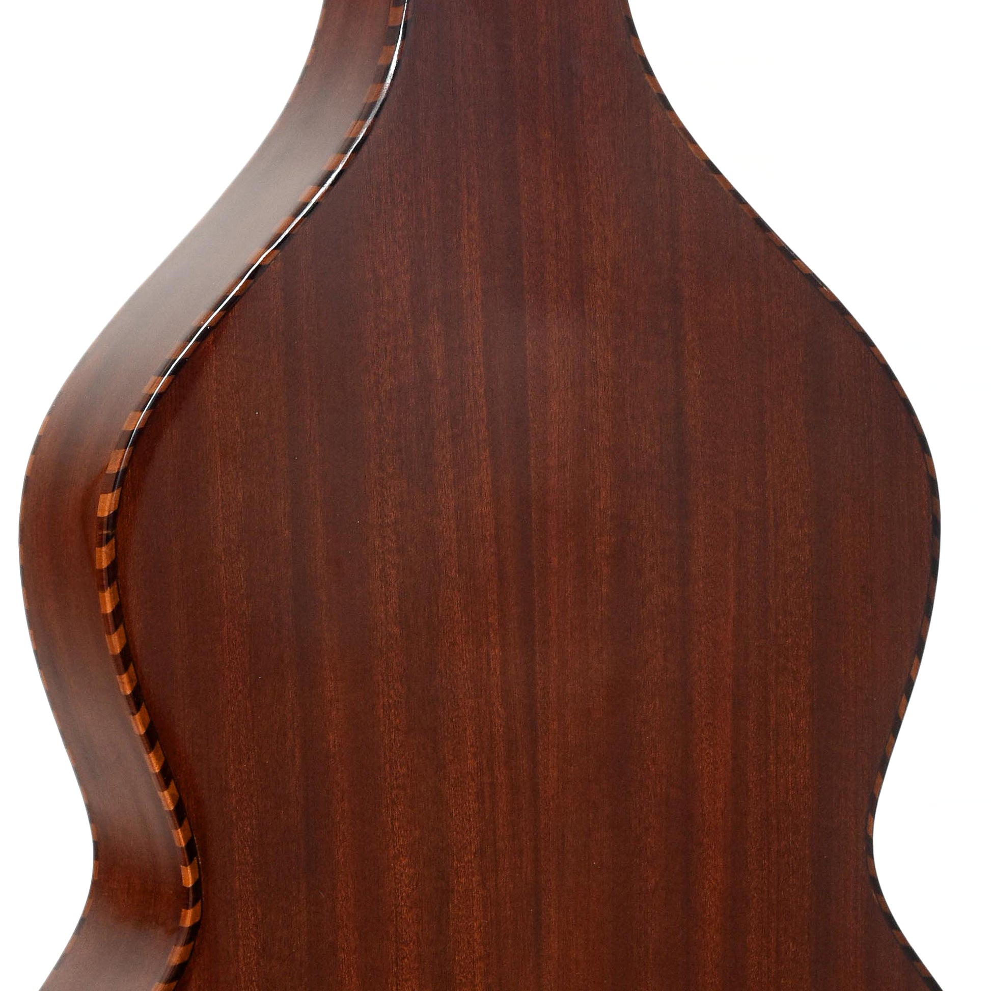 Rear upper bout of Gold Tone SM Weissenborn Plus & Case, Shopworn