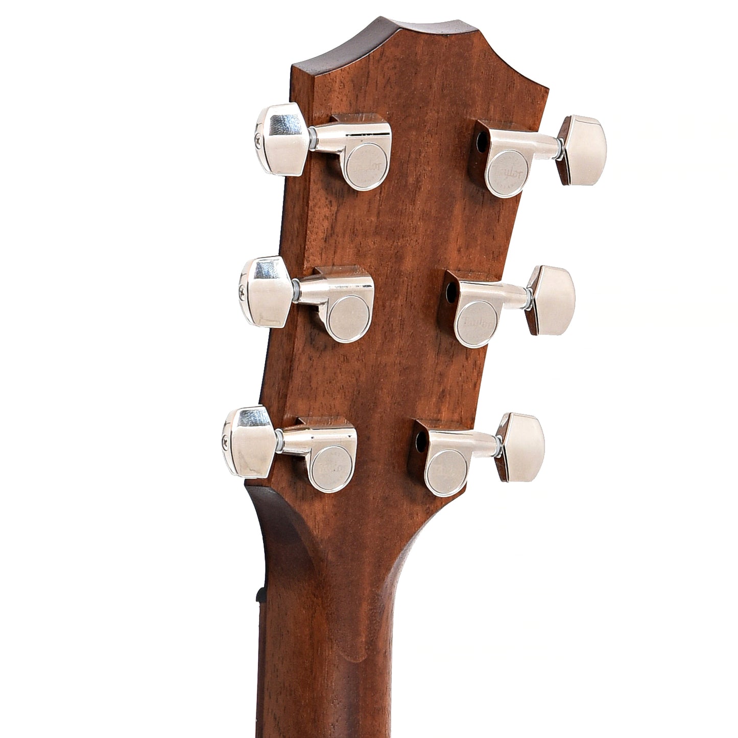Back headstock of Taylor American Dream AD24ce Acoustic Guitar