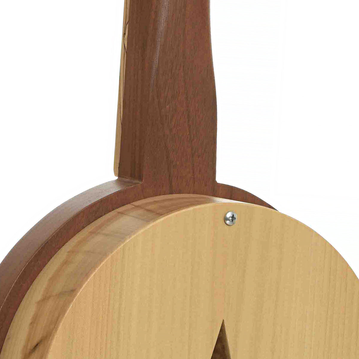 Heel of Blue Star Mountain Banjo