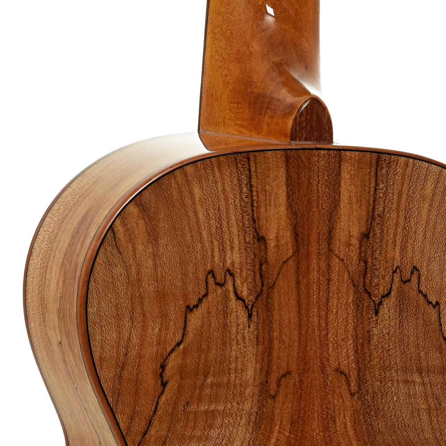 Neck joint of Kala KA-FMTG Tenor Ukulele 