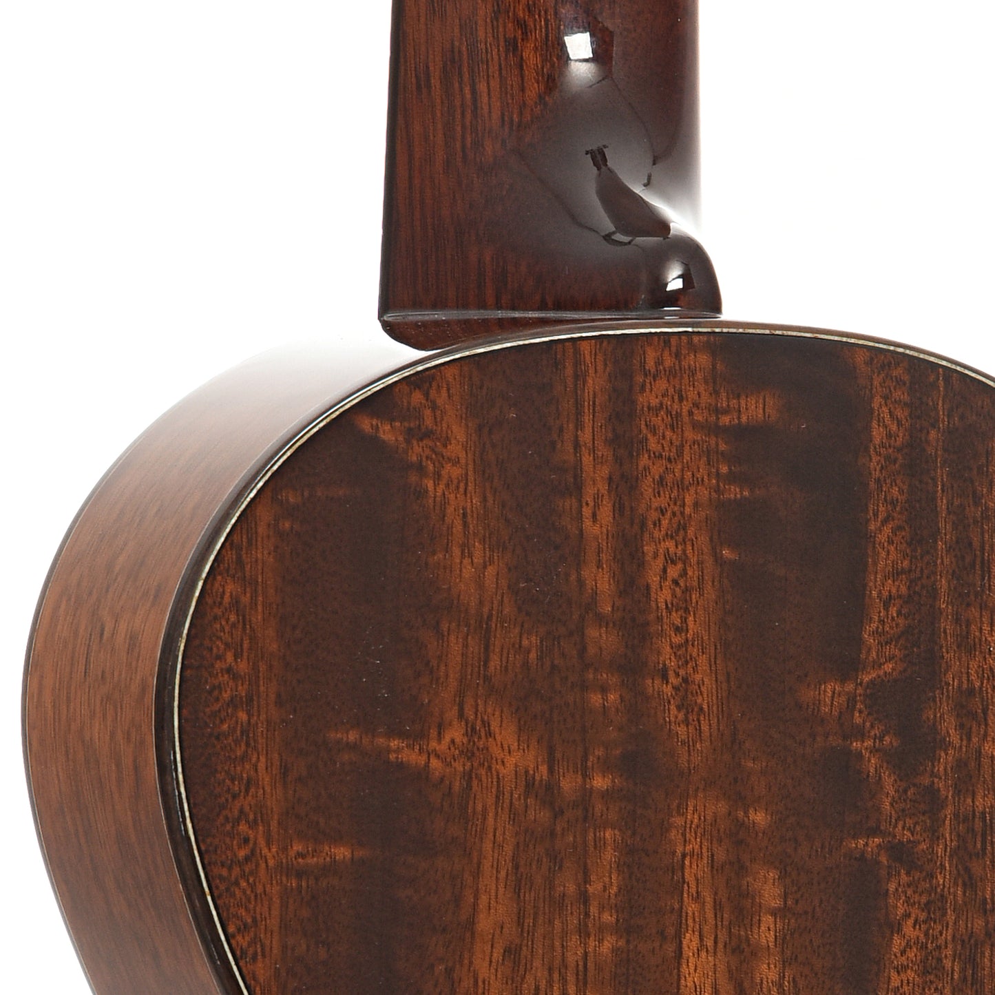 heel of Eastman EU3C Concert Ukulele