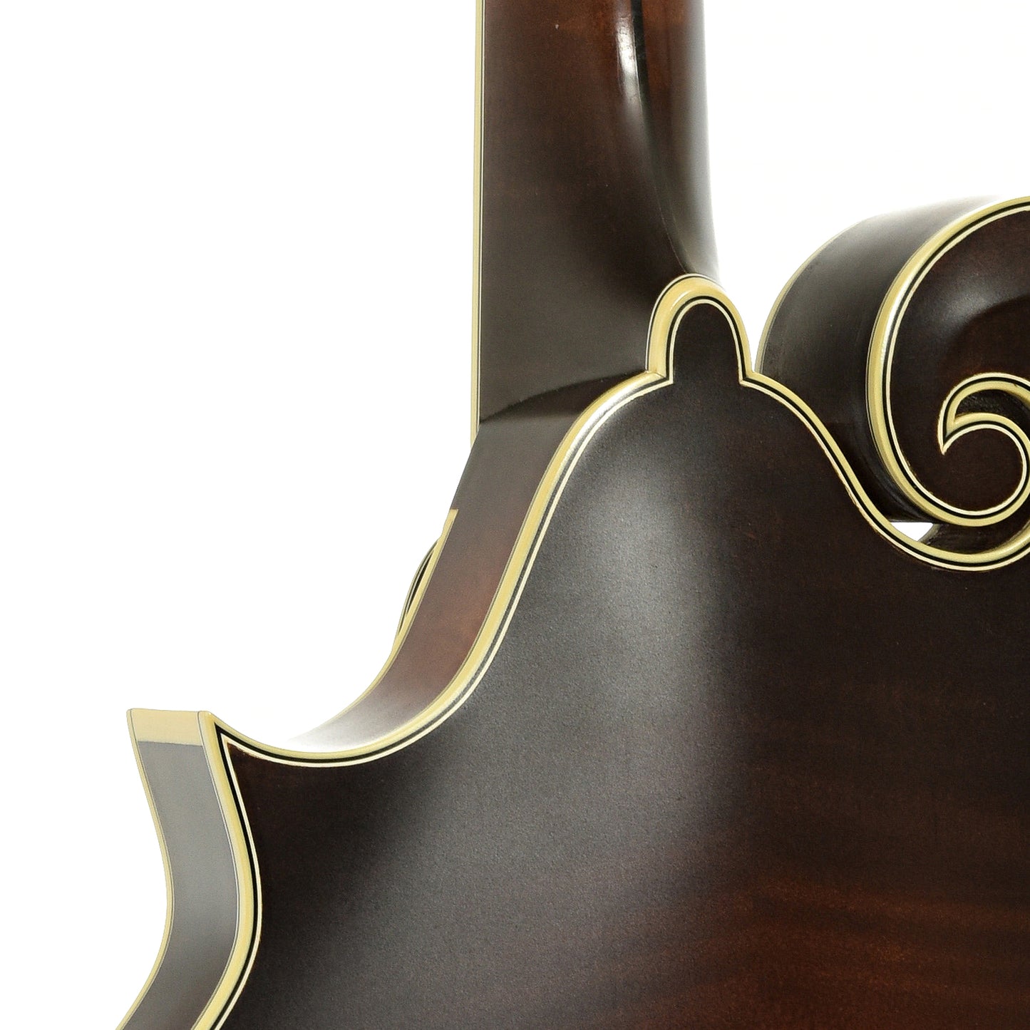 Neck joint of Nugget F Mandolin 