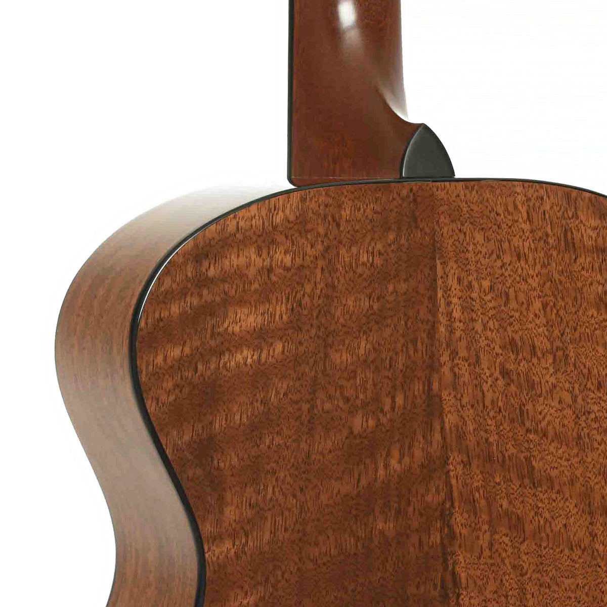 Heel of Breedlove SC20/W