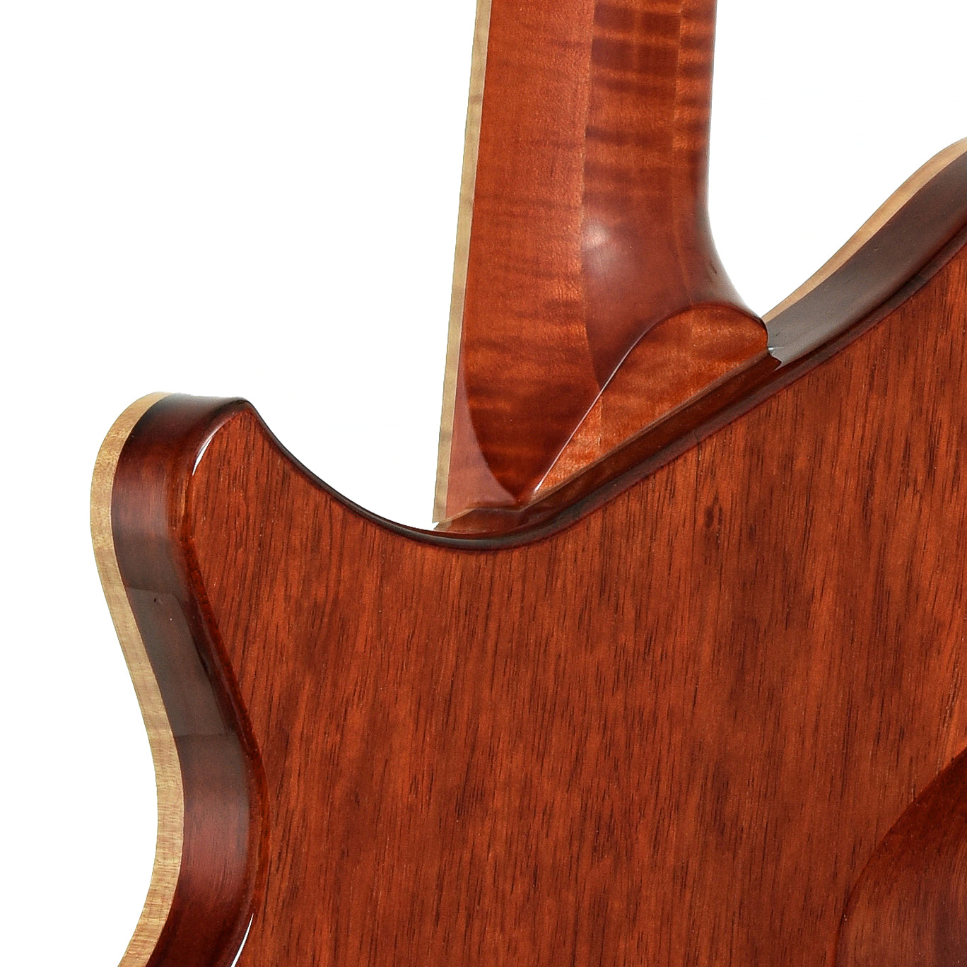 Neck joint of Jet Earlewood Electric Guitar   