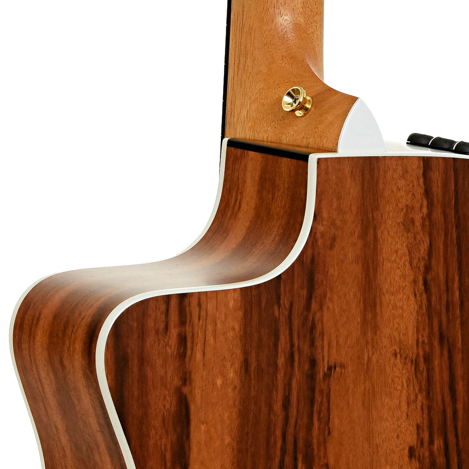 Neck joint of Taylor 214ce Limited Edition Tigerwood Acoustic Guitar
