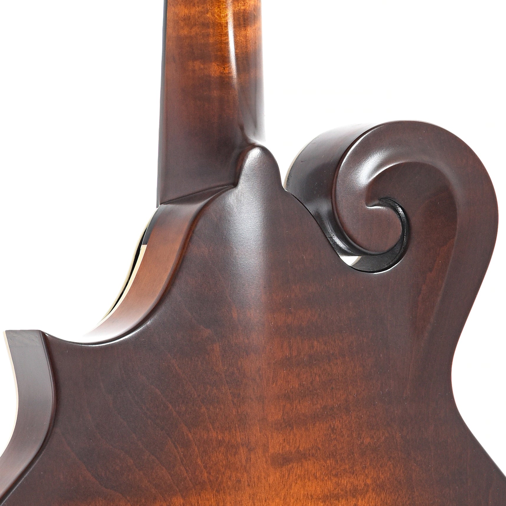 Heel of Northfield Workshop  S-Series NFS-F2B Mandolin, Blacktop Oval Soundhole,
