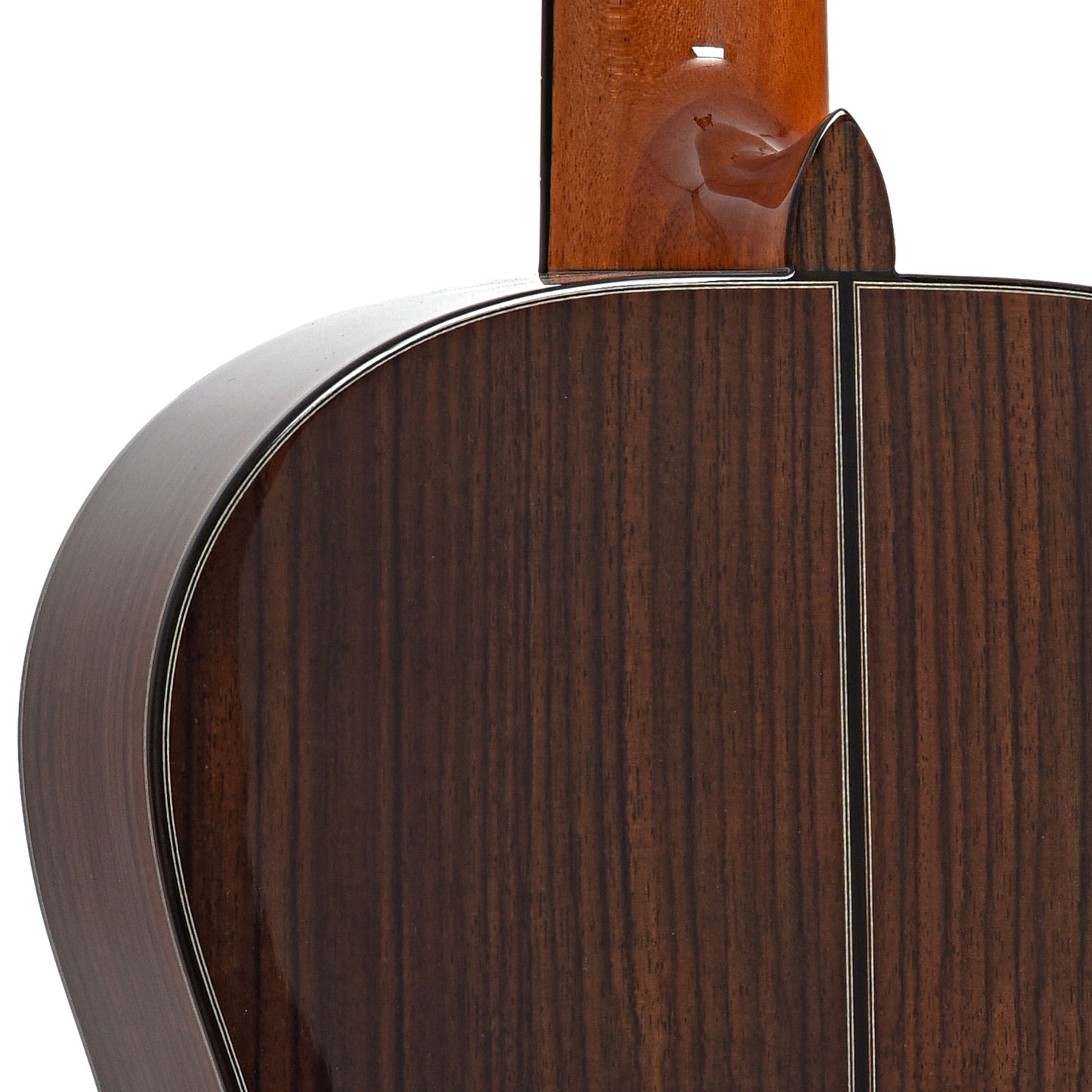 Heel of Cordoba C10 SP Classical Guitar 