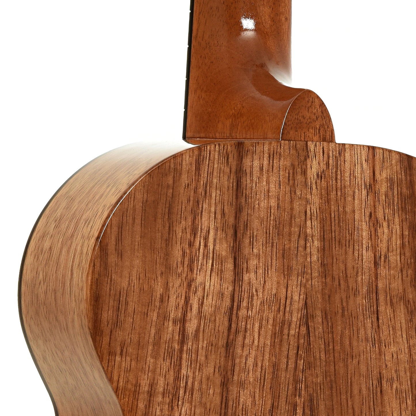 Neck joint of Kamaka 100th Anniversary HF-3D Deluxe Tenor Ukulele with Case