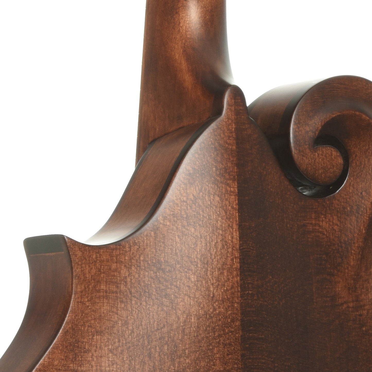 Neck joint of Kentucky KM-626 F-Style Oval Hole Mandolin