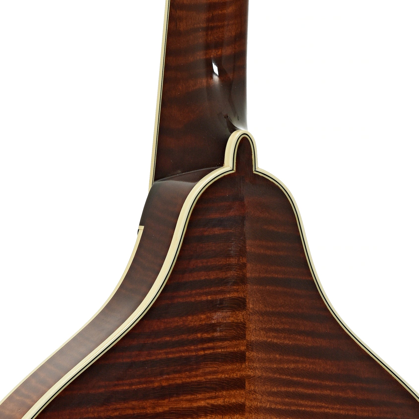 Neck joint of Prucha A5 Standard Mandolin