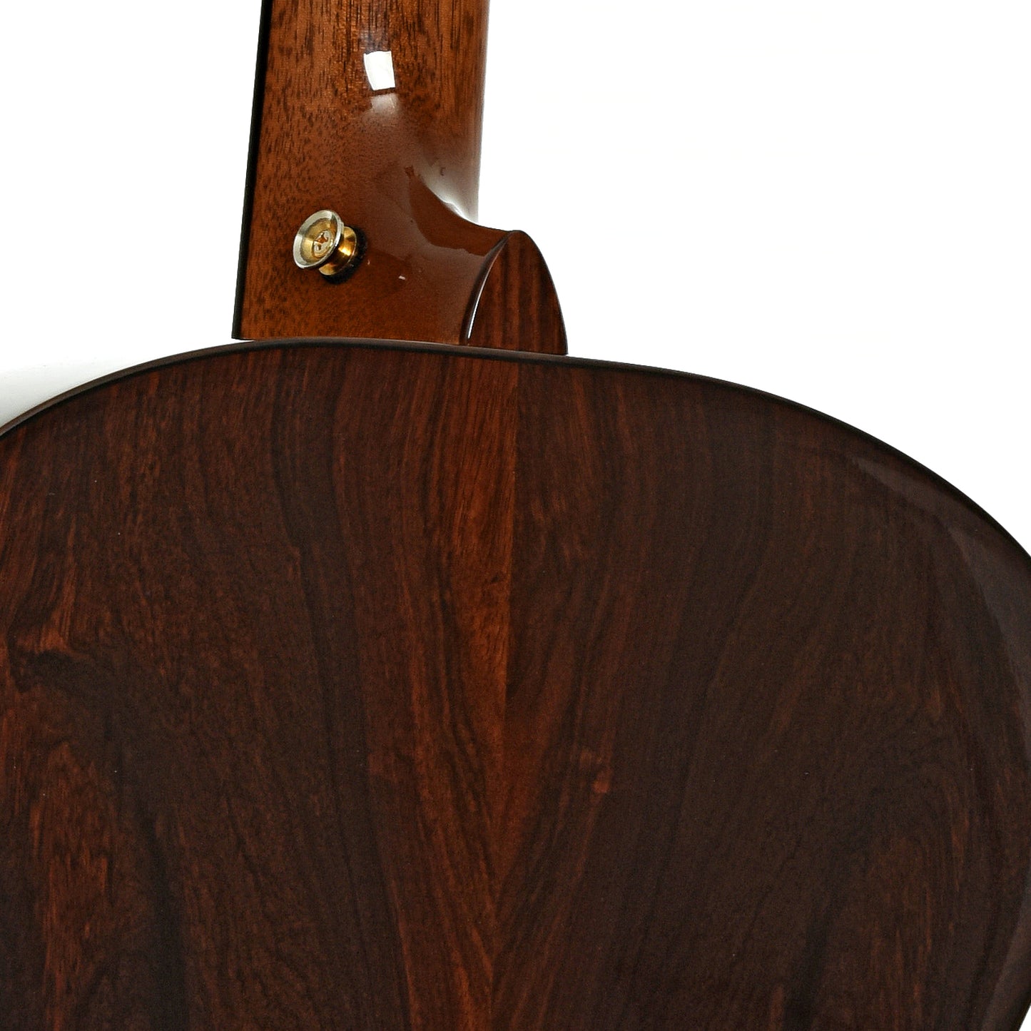 Neck joint of Bedell Angelica Bella Voce Acoustic-Electric Guitar 