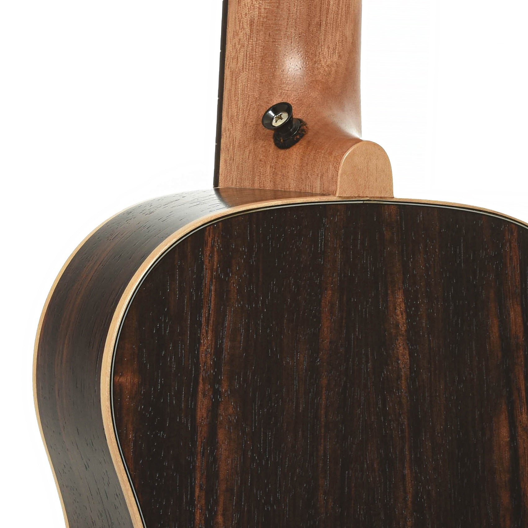 Neck joint of Kala U-Bass-EBY-FS 6Q  Striped Ebony Acoustic Bass 