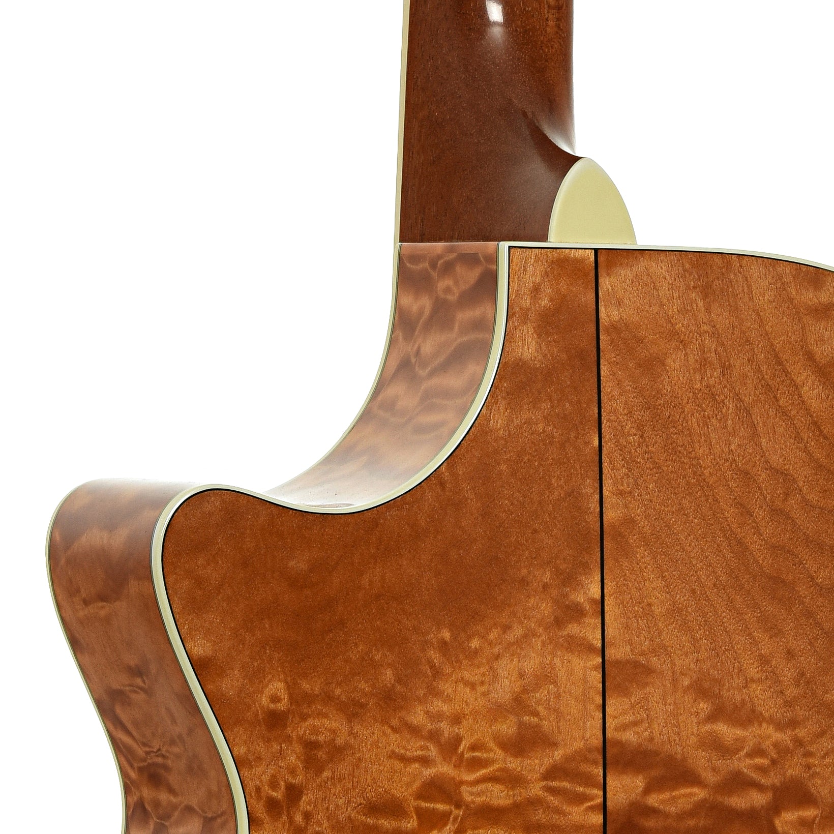 Neck joint of Taylor 612-C Acoustic Guitar