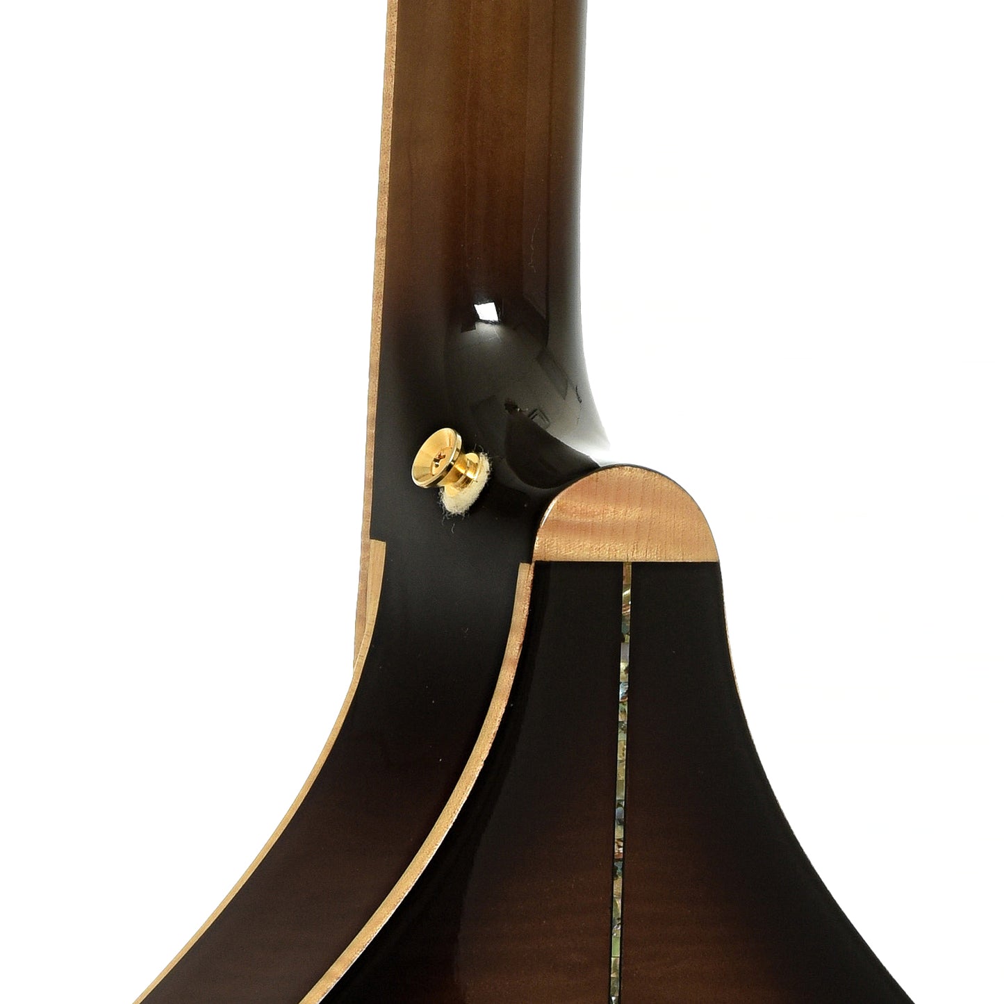 Neck joint of  Gold Tone Pat Cloud Banjola 