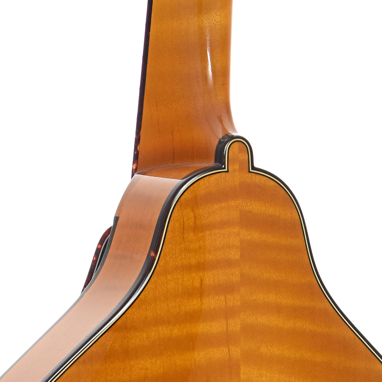 Heel of Pava A5 Pro Model Mandolin, Honey Amber