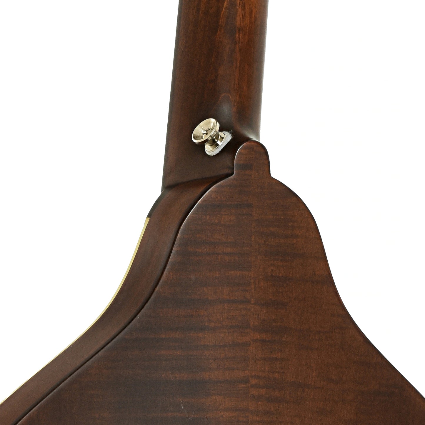 Neck joint of Eastman MDO305 Octave Mandolin