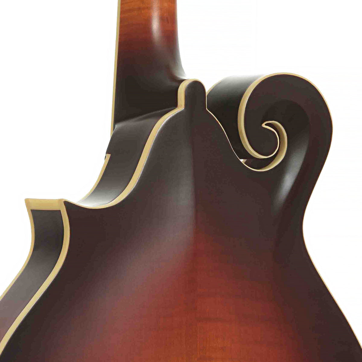 Heel of Gold Tone Mastertone GM-80 F-Style Mandolin