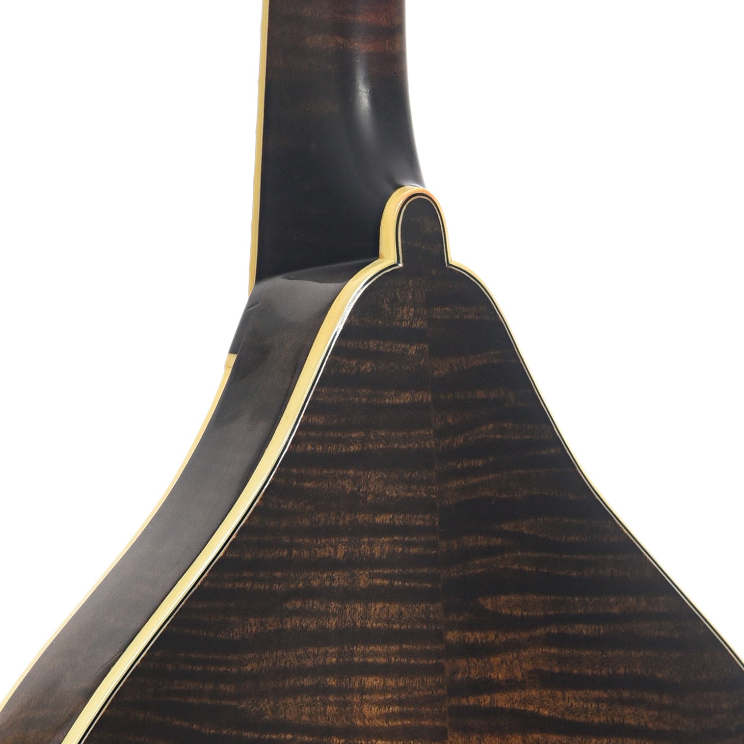 Neck joint of Stiver A Mandolin